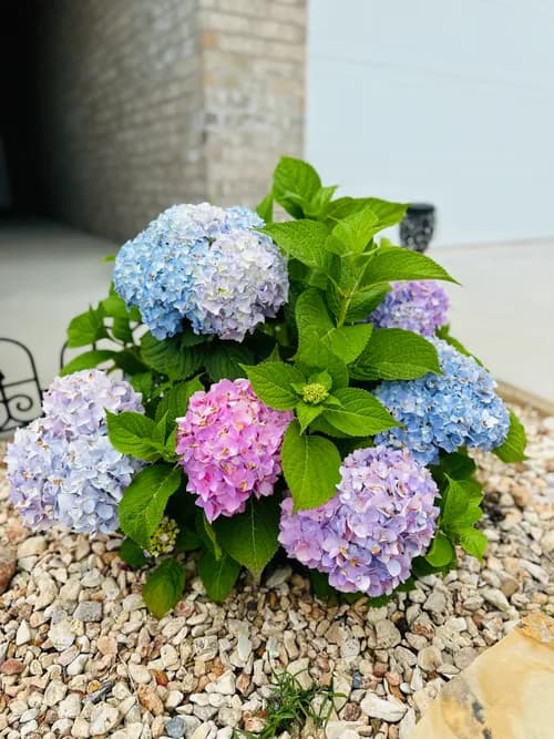 Food Loops - Photo 2