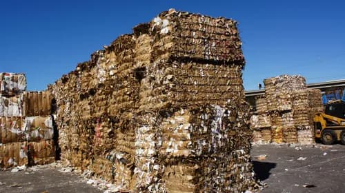 Green Planet 21 - Photo 4