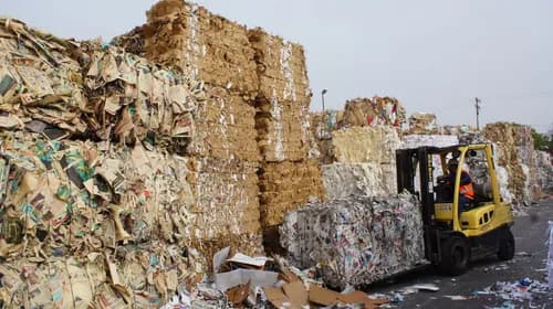 Green Planet 21 - Photo 2