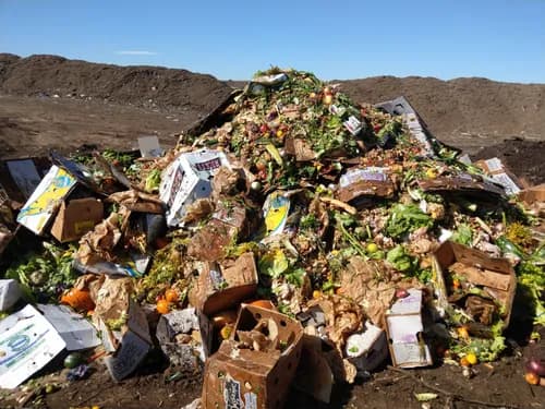 A1 Organics - Photo 3