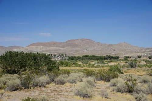 American Organics - Photo 4