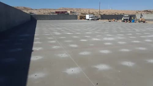 American Organics - Photo 3