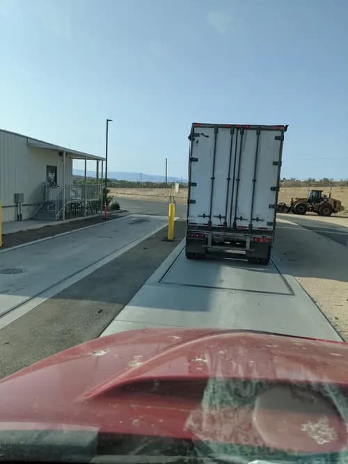 American Organics - Photo 2