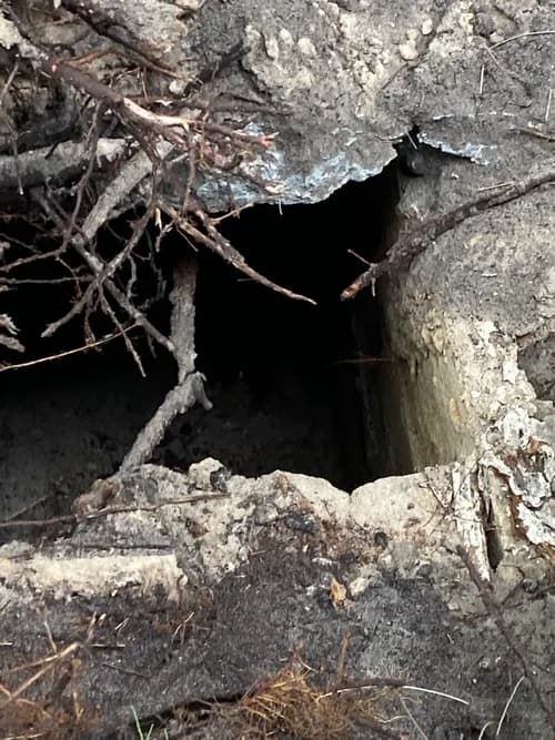 Banyan Environmental Group Inc - Photo 4