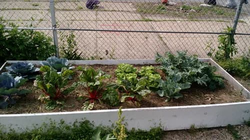 Bennett Compost - Photo 1