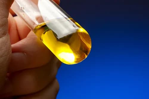 Black Sheep Grease LLC - Photo 4