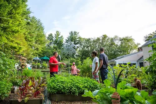 Blue Earth Compost - Photo 1