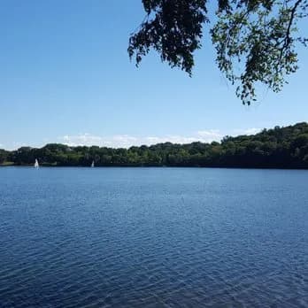 Bootstrap Compost, Inc. - Photo 3