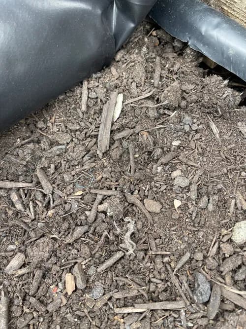 Cedar Grove Composting - Photo 4