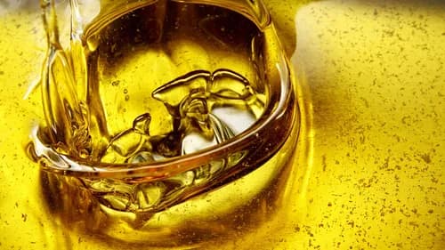 Core Biofuels LLC - Photo 1