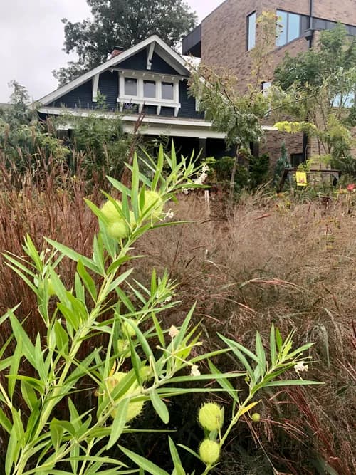 Fertile Ground Cooperative - Photo 4