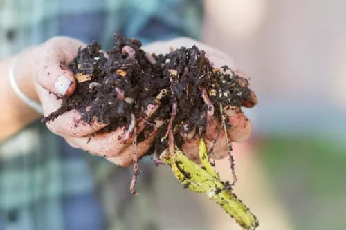 Food2Soil - San Diego's Neighborhood Composter