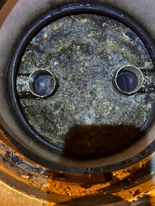 Grease Collection - Photo 2