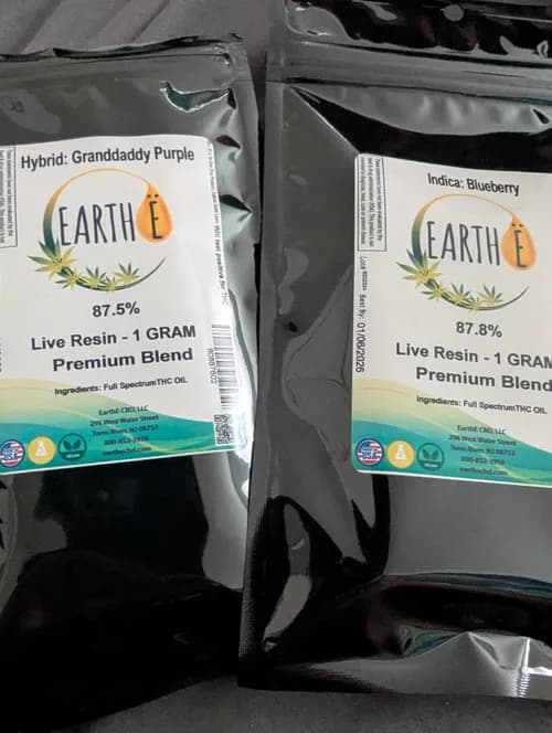 Green Earth Bio-diesel - Photo 3