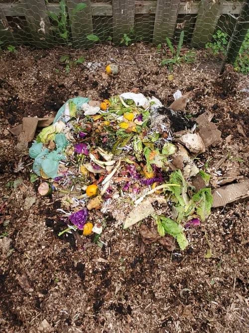 Greener Bay Compost - Photo 3