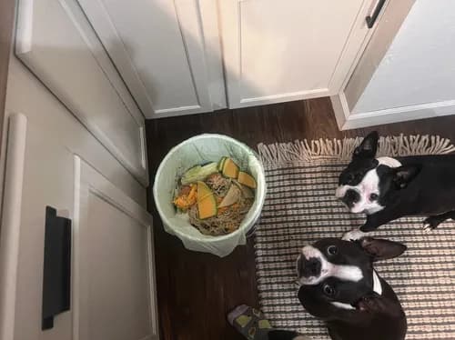 Greener Bay Compost - Photo 4