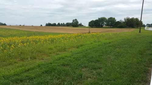 High Point MRF - Photo 2