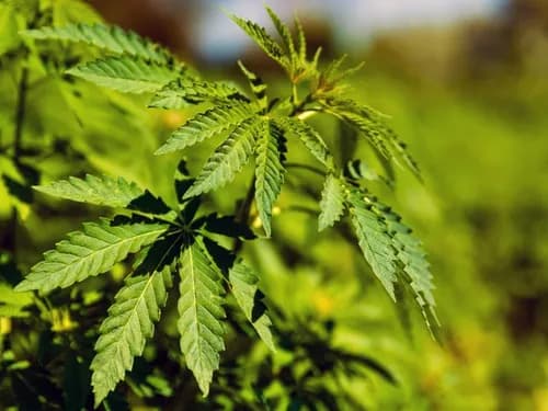 Liquid Environmental Solutions - Photo 4