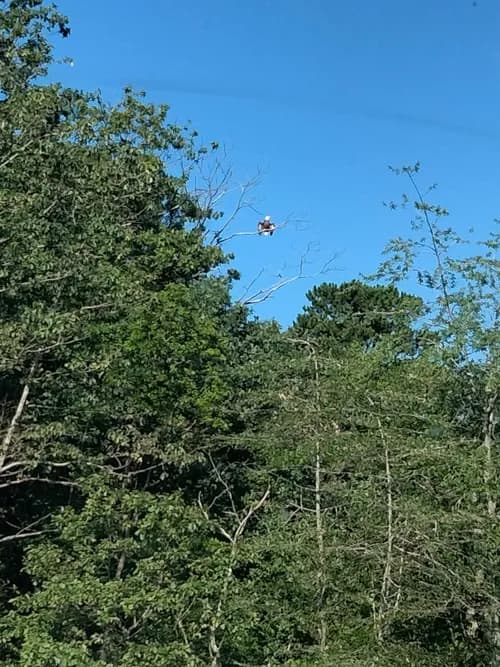 Millersville Landfill - Photo 5