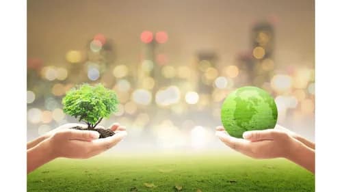 Mr. T Carting Corp. - Photo 5