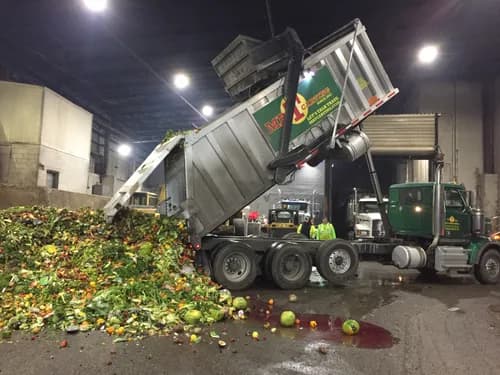 Mr. T Carting Corp. - Photo 3