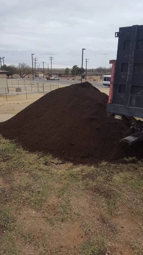 New Green Organics - Photo 3