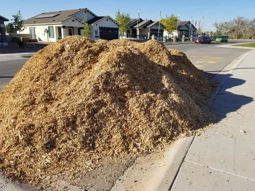 New Green Organics - Photo 1