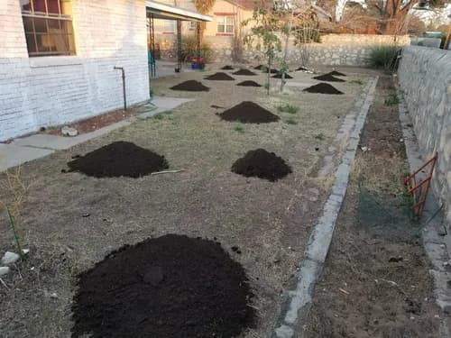 New Green Organics - Photo 4