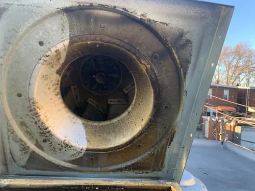 Professional Hood Degreasers - Photo 4