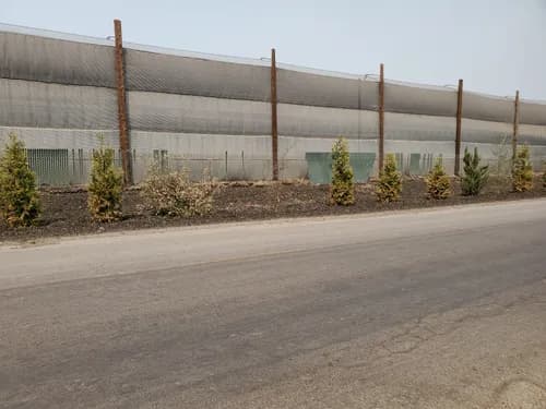 Recology Blossom Valley Organics - Photo 3