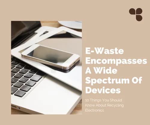 Recycle Boston - Photo 5