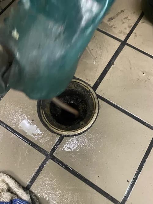 Royal Pumping and Jetting