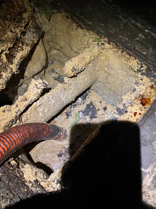 San Diego Grease Company - Photo 2