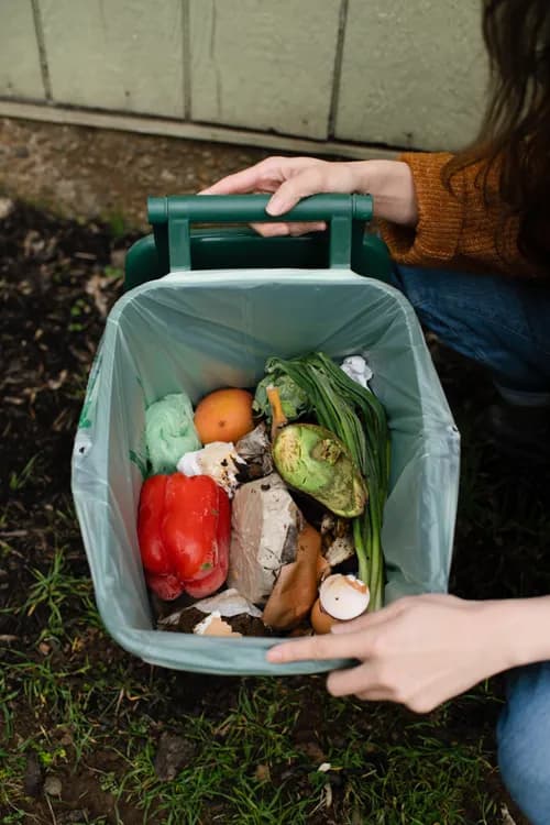 Scraps Ltd. - Photo 4