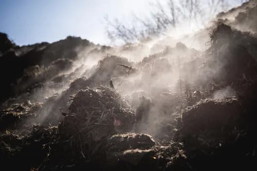 Soil Dynamics Composting Farm - Photo 2