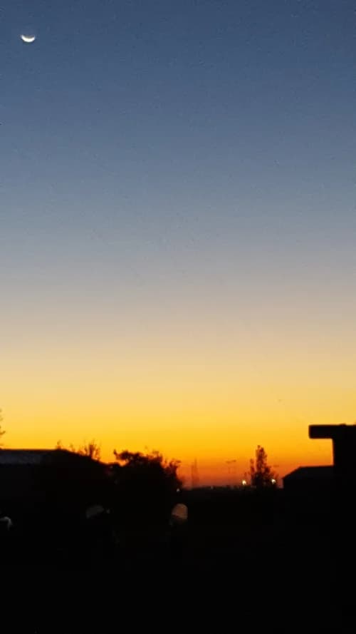 Southern Enterprises of EnviroCare, Inc.