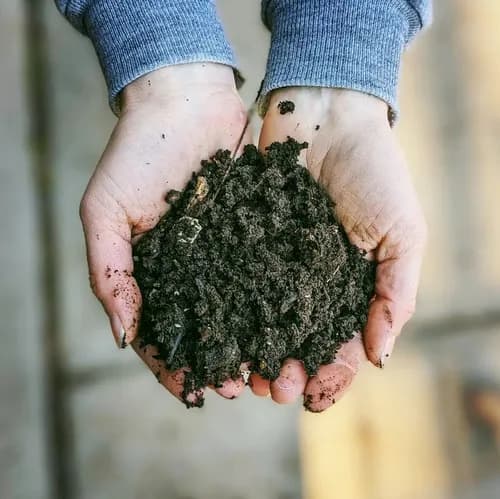 St Louis Composting, Inc. - Photo 2