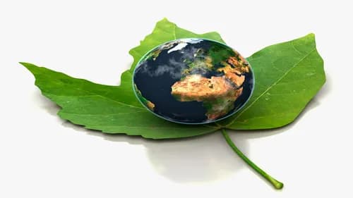 Waste Equipment Rentals & Sales - Photo 5